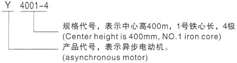 西安泰富西玛Y系列(H355-1000)高压YRKK5004-10三相异步电机型号说明