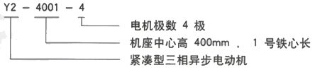 YR系列(H355-1000)高压YRKK5004-10三相异步电机西安西玛电机型号说明